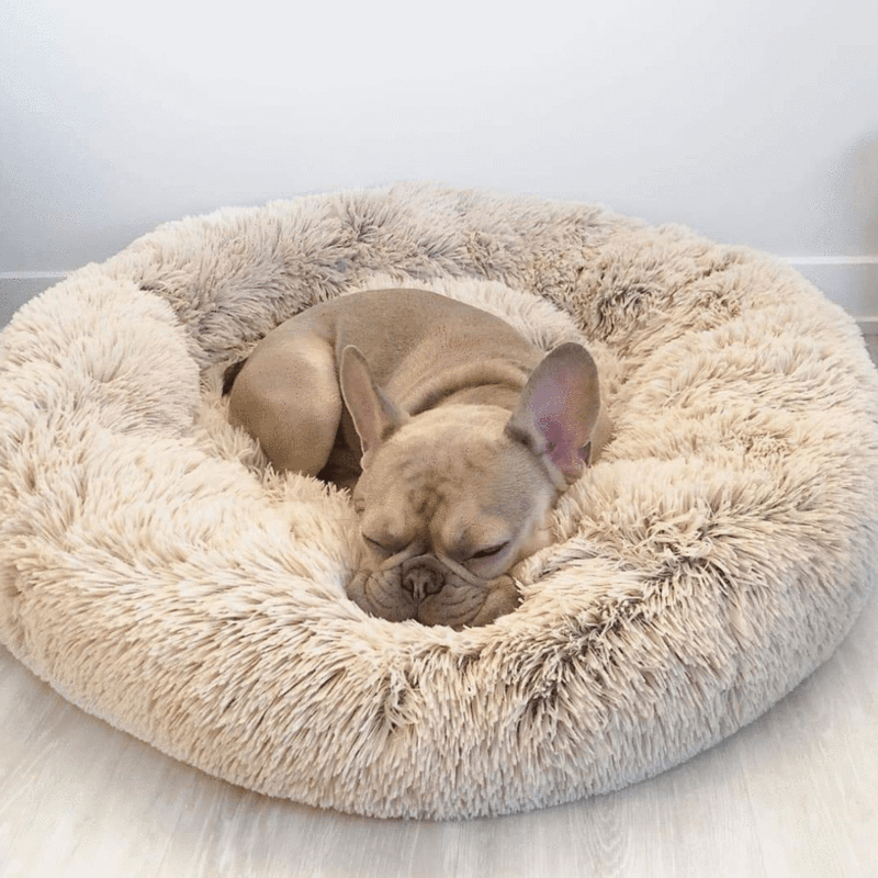 Anti Anxiety Calming Dog Bed